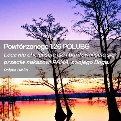 Picture 02 - Powtórzonego 1:26 POLUBG - Lecz nie chcieliście iść i buntowaliście się - Bible Verse Picture