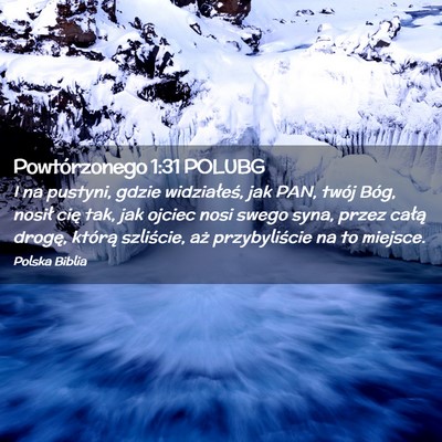 Picture 02 - Powtórzonego 1:31 POLUBG - I na pustyni, gdzie widziałeś, jak PAN, twój - Bible Verse Picture