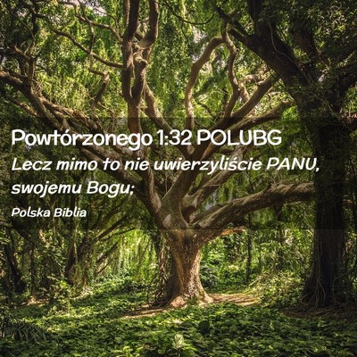 Picture 02 - Powtórzonego 1:32 POLUBG - Lecz mimo to nie uwierzyliście PANU, swojemu - Bible Verse Picture