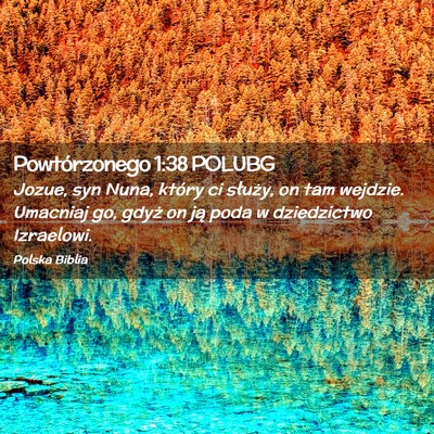 Picture 02 - Powtórzonego 1:38 POLUBG - Jozue, syn Nuna, który ci służy, on tam - Bible Verse Picture