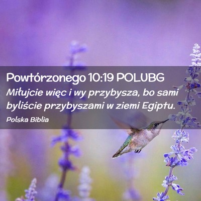 Picture 02 - Powtórzonego 10:19 POLUBG - Miłujcie więc i wy przybysza, bo sami byliście - Bible Verse Picture