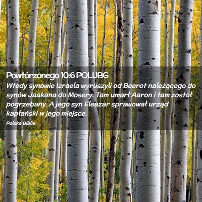 Picture 02 - Powtórzonego 10:6 POLUBG - Wtedy synowie Izraela wyruszyli od Beerot - Bible Verse Picture