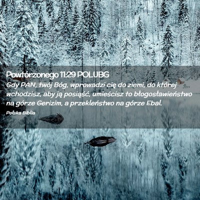 Picture 02 - Powtórzonego 11:29 POLUBG - Gdy PAN, twój Bóg, wprowadzi cię do ziemi, do - Bible Verse Picture