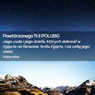 Picture 02 - Powtórzonego 11:3 POLUBG - Jego cuda i jego dzieła, których dokonał w - Bible Verse Picture