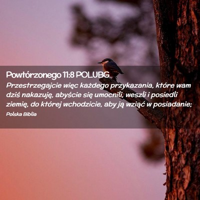 Picture 02 - Powtórzonego 11:8 POLUBG - Przestrzegajcie więc każdego przykazania, - Bible Verse Picture