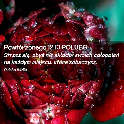 Picture 02 - Powtórzonego 12:13 POLUBG - Strzeż się, abyś nie składał swoich - Bible Verse Picture