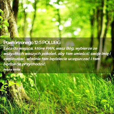 Picture 02 - Powtórzonego 12:5 POLUBG - Lecz do miejsca, które PAN, wasz Bóg, wybierze - Bible Verse Picture