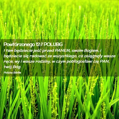 Picture 02 - Powtórzonego 12:7 POLUBG - I tam będziecie jeść przed PANEM, swoim - Bible Verse Picture