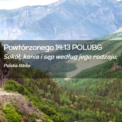 Picture 02 - Powtórzonego 14:13 POLUBG - Sokół, kania i sęp według jego - Bible Verse Picture