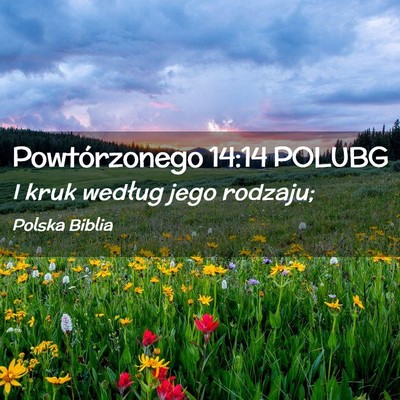 Picture 02 - Powtórzonego 14:14 POLUBG - I kruk według jego - Bible Verse Picture
