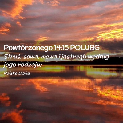 Picture 02 - Powtórzonego 14:15 POLUBG - Struś, sowa, mewa i jastrząb według jego - Bible Verse Picture