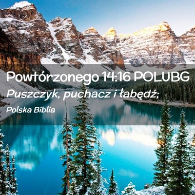 Picture 02 - Powtórzonego 14:16 POLUBG - Puszczyk, puchacz i - Bible Verse Picture
