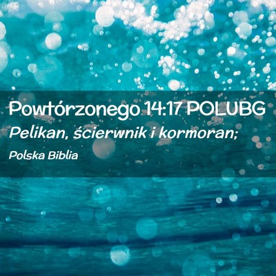Picture 02 - Powtórzonego 14:17 POLUBG - Pelikan, ścierwnik i - Bible Verse Picture