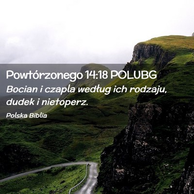 Picture 02 - Powtórzonego 14:18 POLUBG - Bocian i czapla według ich rodzaju, dudek i - Bible Verse Picture