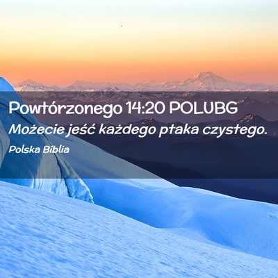 Picture 02 - Powtórzonego 14:20 POLUBG - Możecie jeść każdego ptaka - Bible Verse Picture