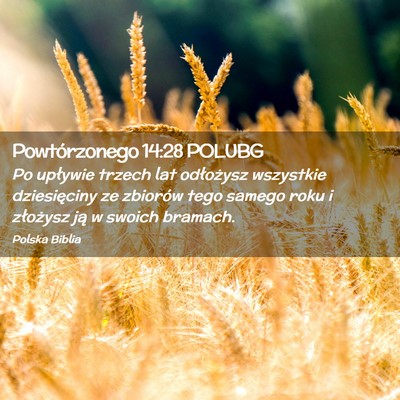 Picture 02 - Powtórzonego 14:28 POLUBG - Po upływie trzech lat odłożysz wszystkie - Bible Verse Picture