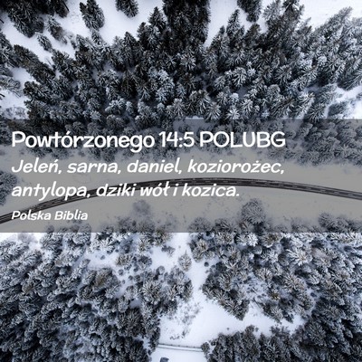 Picture 02 - Powtórzonego 14:5 POLUBG - Jeleń, sarna, daniel, koziorożec, antylopa, - Bible Verse Picture