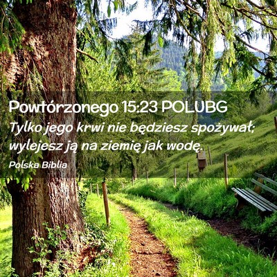 Picture 02 - Powtórzonego 15:23 POLUBG - Tylko jego krwi nie będziesz spożywał; - Bible Verse Picture