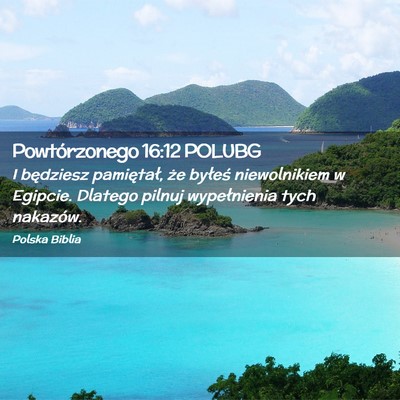 Picture 02 - Powtórzonego 16:12 POLUBG - I będziesz pamiętał, że byłeś niewolnikiem - Bible Verse Picture