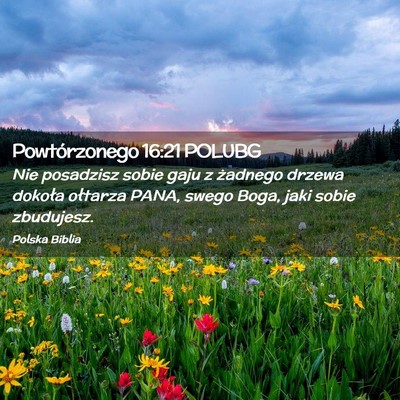 Picture 02 - Powtórzonego 16:21 POLUBG - Nie posadzisz sobie gaju z żadnego drzewa - Bible Verse Picture