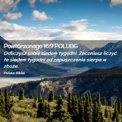 Picture 02 - Powtórzonego 16:9 POLUBG - Odliczysz sobie siedem tygodni. Zaczniesz liczyć - Bible Verse Picture