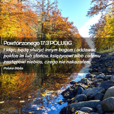 Picture 02 - Powtórzonego 17:3 POLUBG - I idąc, będą służyć innym bogom i oddawać - Bible Verse Picture