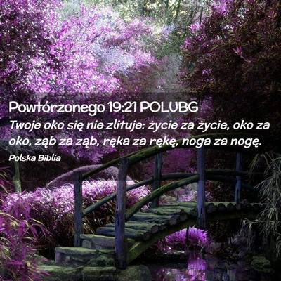 Picture 02 - Powtórzonego 19:21 POLUBG - Twoje oko się nie zlituje: życie za życie, oko - Bible Verse Picture