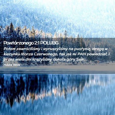 Picture 02 - Powtórzonego 2:1 POLUBG - Potem zawróciliśmy i wyruszyliśmy na - Bible Verse Picture