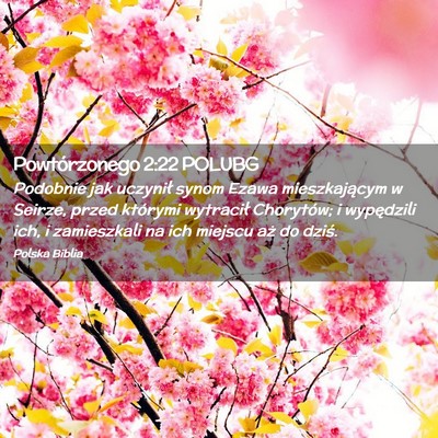 Picture 02 - Powtórzonego 2:22 POLUBG - Podobnie jak uczynił synom Ezawa mieszkającym w - Bible Verse Picture