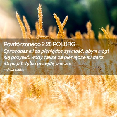 Picture 02 - Powtórzonego 2:28 POLUBG - Sprzedasz mi za pieniądze żywność, abym - Bible Verse Picture