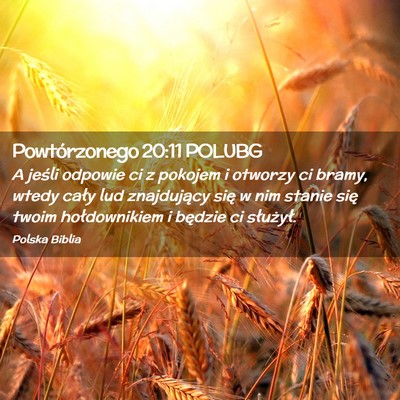 Picture 02 - Powtórzonego 20:11 POLUBG - A jeśli odpowie ci z pokojem i otworzy ci bramy, - Bible Verse Picture