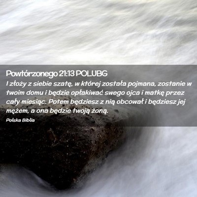 Picture 02 - Powtórzonego 21:13 POLUBG - I złoży z siebie szatę, w której została - Bible Verse Picture