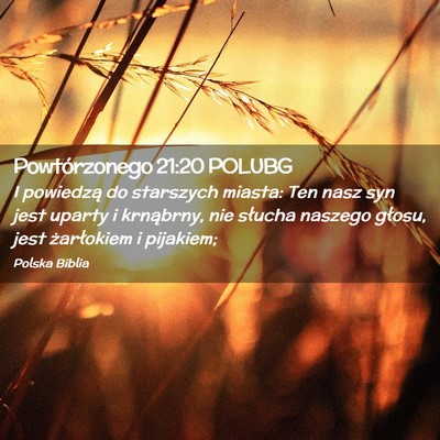 Picture 02 - Powtórzonego 21:20 POLUBG - I powiedzą do starszych miasta: Ten nasz syn - Bible Verse Picture