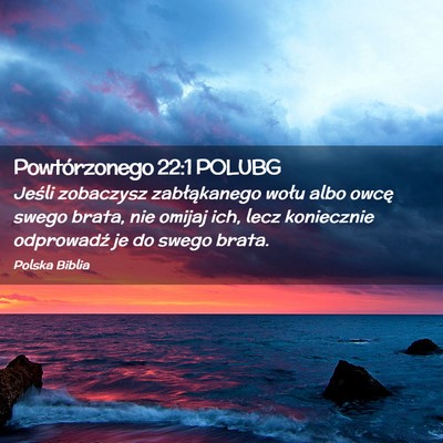 Picture 02 - Powtórzonego 22:1 POLUBG - Jeśli zobaczysz zabłąkanego wołu albo owcę - Bible Verse Picture