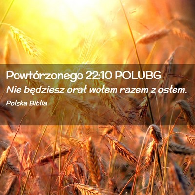 Picture 02 - Powtórzonego 22:10 POLUBG - Nie będziesz orał wołem razem z - Bible Verse Picture
