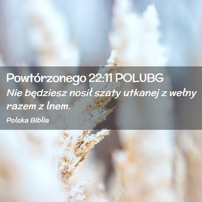 Picture 02 - Powtórzonego 22:11 POLUBG - Nie będziesz nosił szaty utkanej z wełny razem - Bible Verse Picture