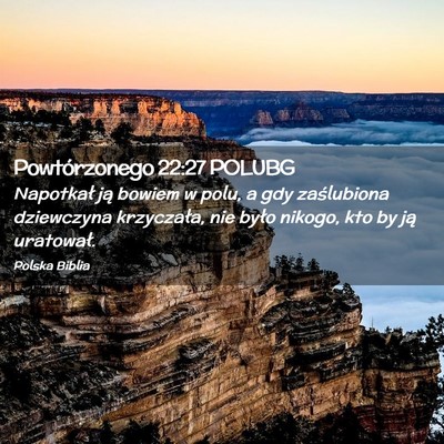 Picture 02 - Powtórzonego 22:27 POLUBG - Napotkał ją bowiem w polu, a gdy zaślubiona - Bible Verse Picture