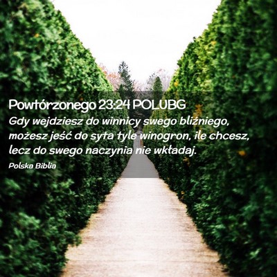Picture 02 - Powtórzonego 23:24 POLUBG - Gdy wejdziesz do winnicy swego bliźniego, - Bible Verse Picture