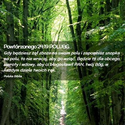 Picture 02 - Powtórzonego 24:19 POLUBG - Gdy będziesz żął zboże na swoim polu i - Bible Verse Picture