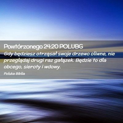 Picture 02 - Powtórzonego 24:20 POLUBG - Gdy będziesz otrząsał swoje drzewo oliwne, nie - Bible Verse Picture