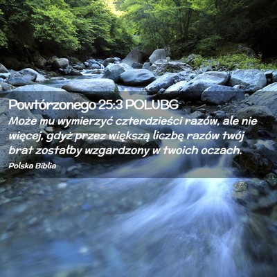 Picture 02 - Powtórzonego 25:3 POLUBG - Może mu wymierzyć czterdzieści razów, ale nie - Bible Verse Picture