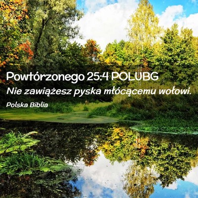 Picture 02 - Powtórzonego 25:4 POLUBG - Nie zawiążesz pyska młócącemu - Bible Verse Picture