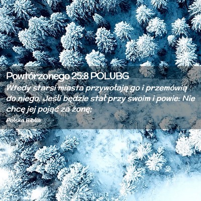 Picture 02 - Powtórzonego 25:8 POLUBG - Wtedy starsi miasta przywołają go i przemówią - Bible Verse Picture