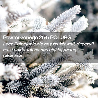 Picture 02 - Powtórzonego 26:6 POLUBG - Lecz Egipcjanie źle nas traktowali, dręczyli - Bible Verse Picture