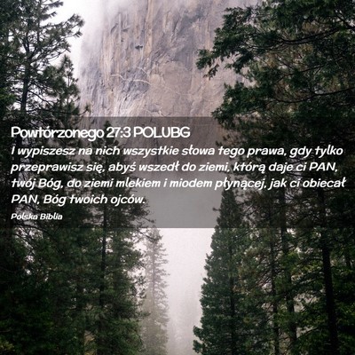 Picture 02 - Powtórzonego 27:3 POLUBG - I wypiszesz na nich wszystkie słowa tego prawa, - Bible Verse Picture