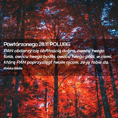 Picture 02 - Powtórzonego 28:11 POLUBG - PAN obdarzy cię obfitością dobra, owocu twego - Bible Verse Picture