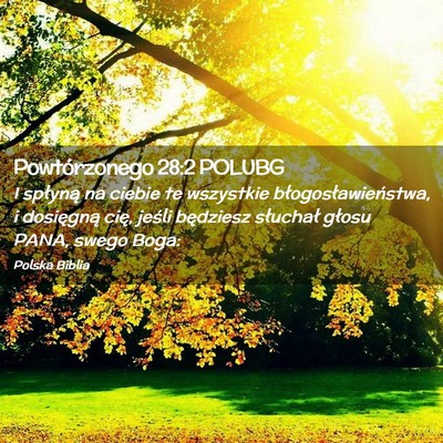 Picture 02 - Powtórzonego 28:2 POLUBG - I spłyną na ciebie te wszystkie - Bible Verse Picture
