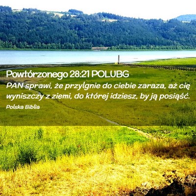 Picture 02 - Powtórzonego 28:21 POLUBG - PAN sprawi, że przylgnie do ciebie zaraza, aż - Bible Verse Picture