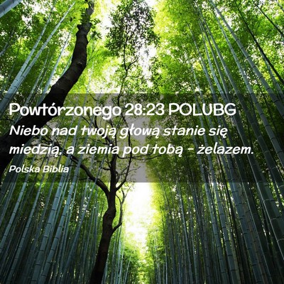 Picture 02 - Powtórzonego 28:23 POLUBG - Niebo nad twoją głową stanie się miedzią, a - Bible Verse Picture