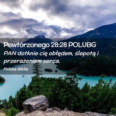 Picture 02 - Powtórzonego 28:28 POLUBG - PAN dotknie cię obłędem, ślepotą i - Bible Verse Picture
